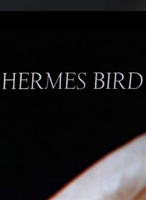 watch hermes bird online free|Hermes Bird (1979): Where to Watch and Stream Online.